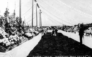 Flower Show, Normanby Show, Normanby Hall, 24 July 1907. 	