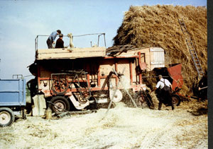 The last threshing day at Crowle Grange, Crowle, with a portable threshing set in September 1979 	