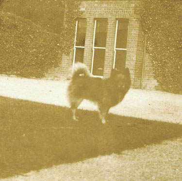 Giotto the beloved family pet of the Elwes family, in the garden of the Manor House, Bigby Street, Brigg in 1892.