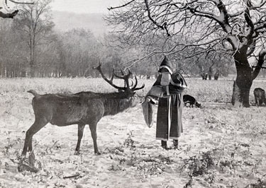 Father Christmas feeding the deer in Normanby Park, c.1970's.
