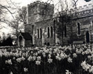 Spring time view of St. Lawrence's Parish church, Scunthorpe looking north west in the 1990's 	